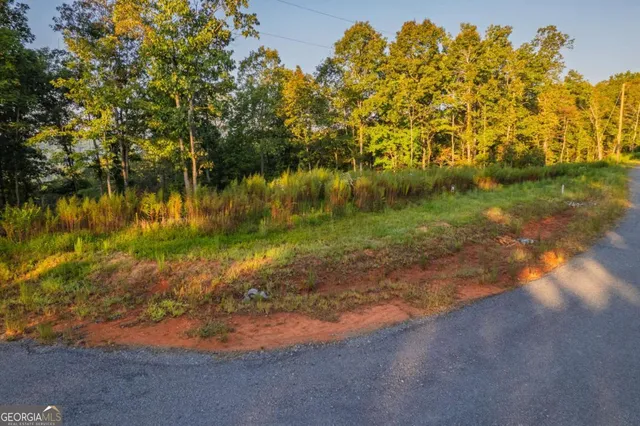 a view of a lake with a yard
