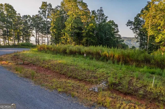 a view of a garden with a lake