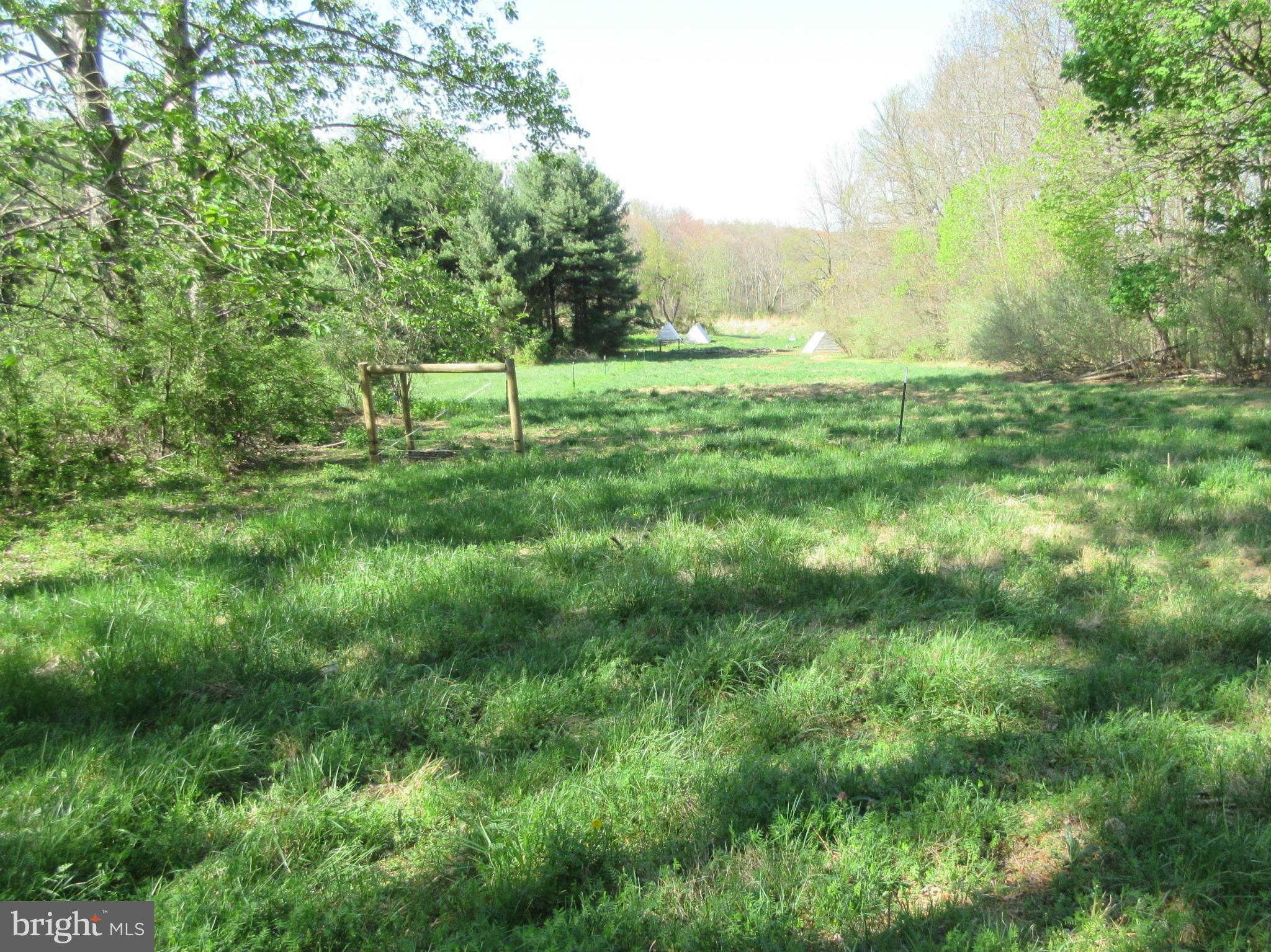 Old York Road White Hall, MD 21161 - Photo 2 of 9 CLEARING