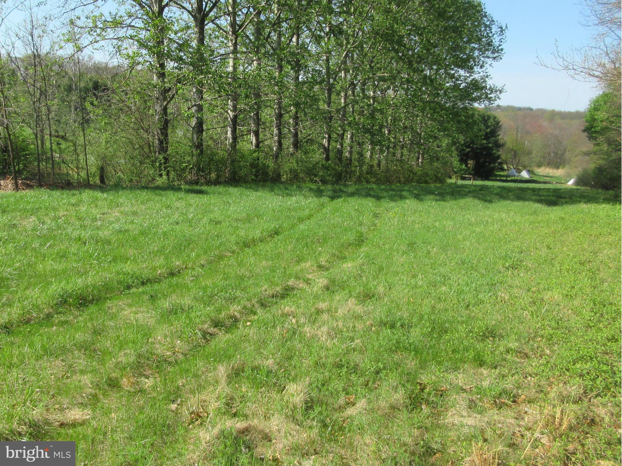 Old York Road White Hall, MD 21161 - Photo 3 of 9 CLEARING
