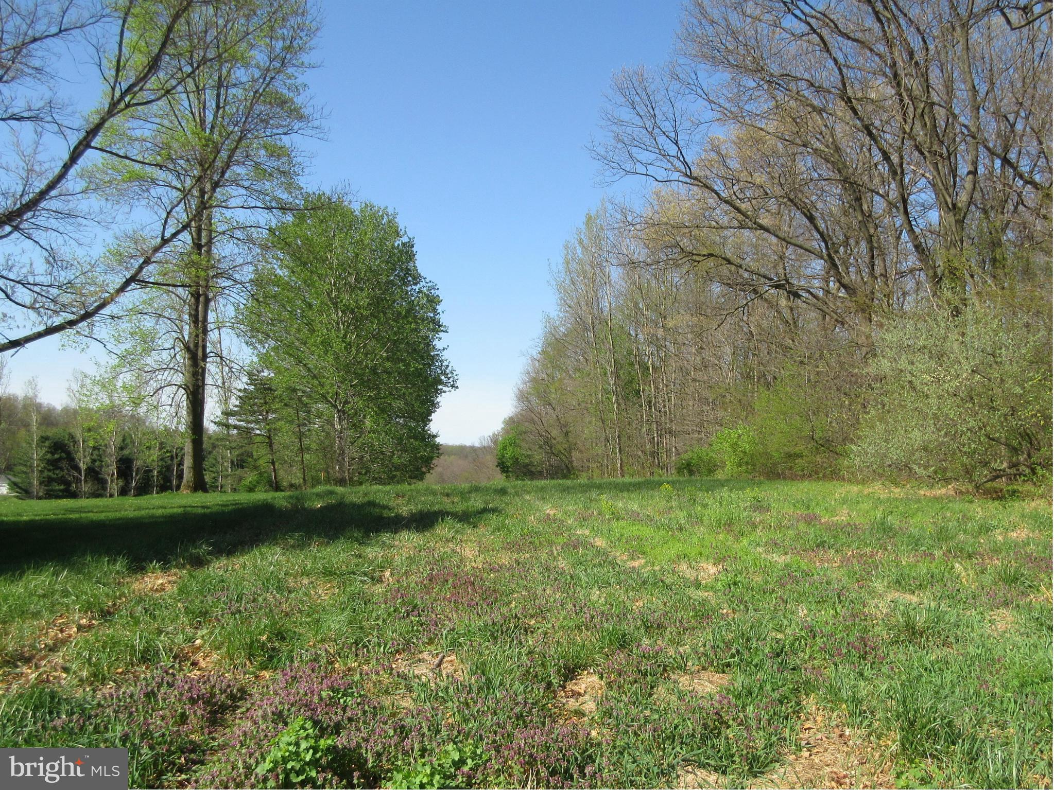Old York Road White Hall, MD 21161 - Photo 5 of 9 CLEARING