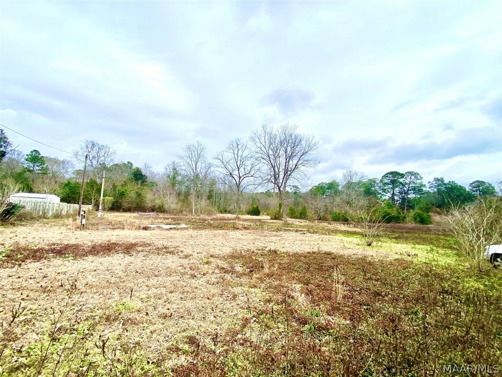604 West Main Street Samson, AL 36477 - Photo 1 of 5 Gallery Image 1