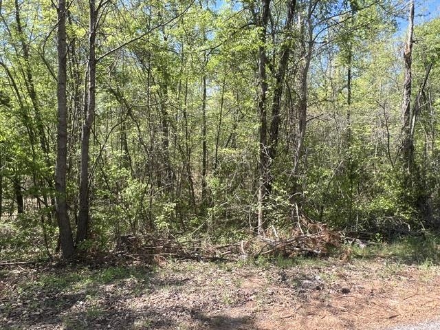Hines Gin Road Selmer, TN 38375 - Photo 3 of 6