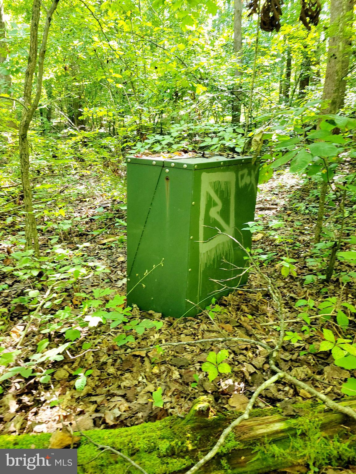 1 Rt Road Woodford, VA 22580 - Photo 4 of 9 Transformer Box On Property
