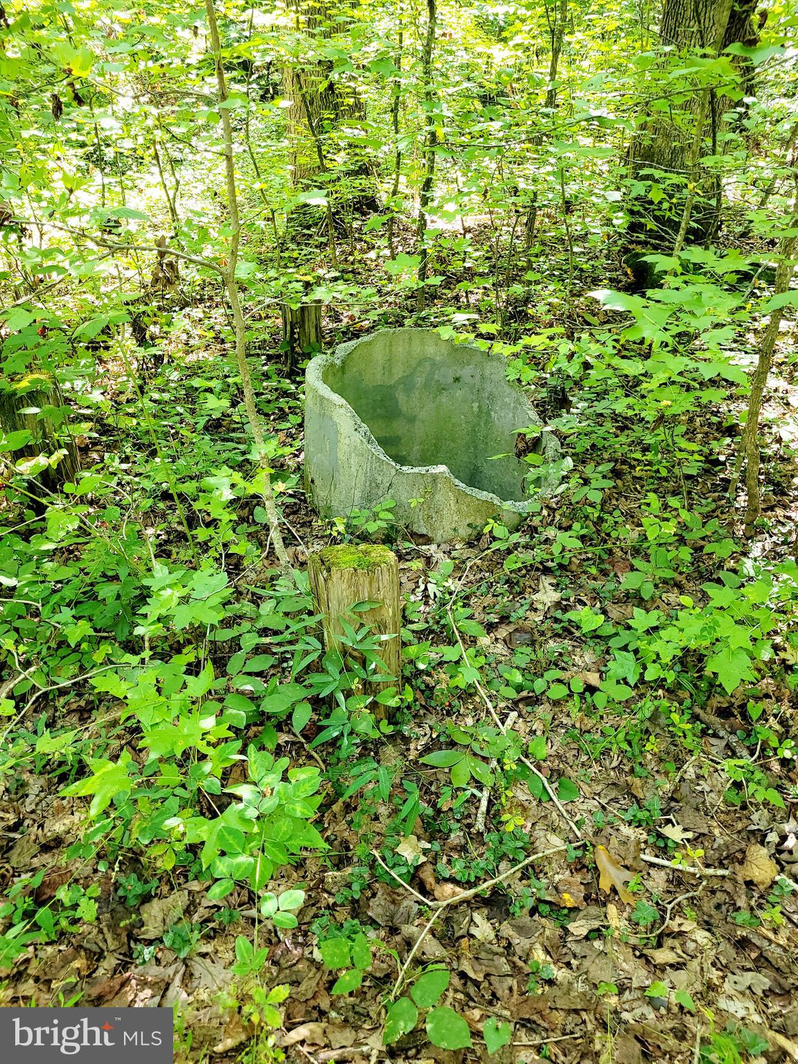 1 Rt Road Woodford, VA 22580 - Photo 5 of 9 Old Well