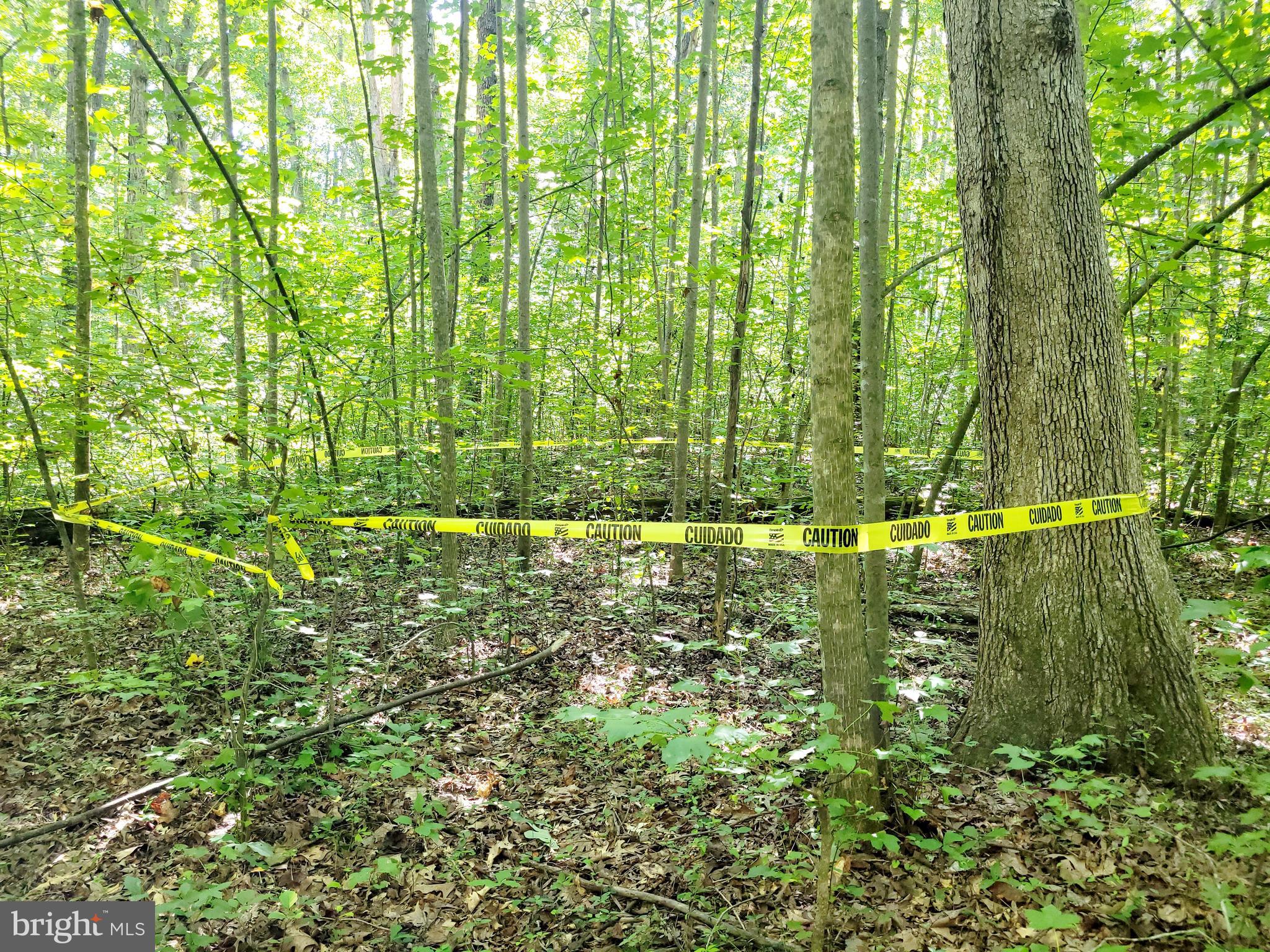 1 Rt Road Woodford, VA 22580 - Photo 6 of 9 Approximate Location of Old Septic System