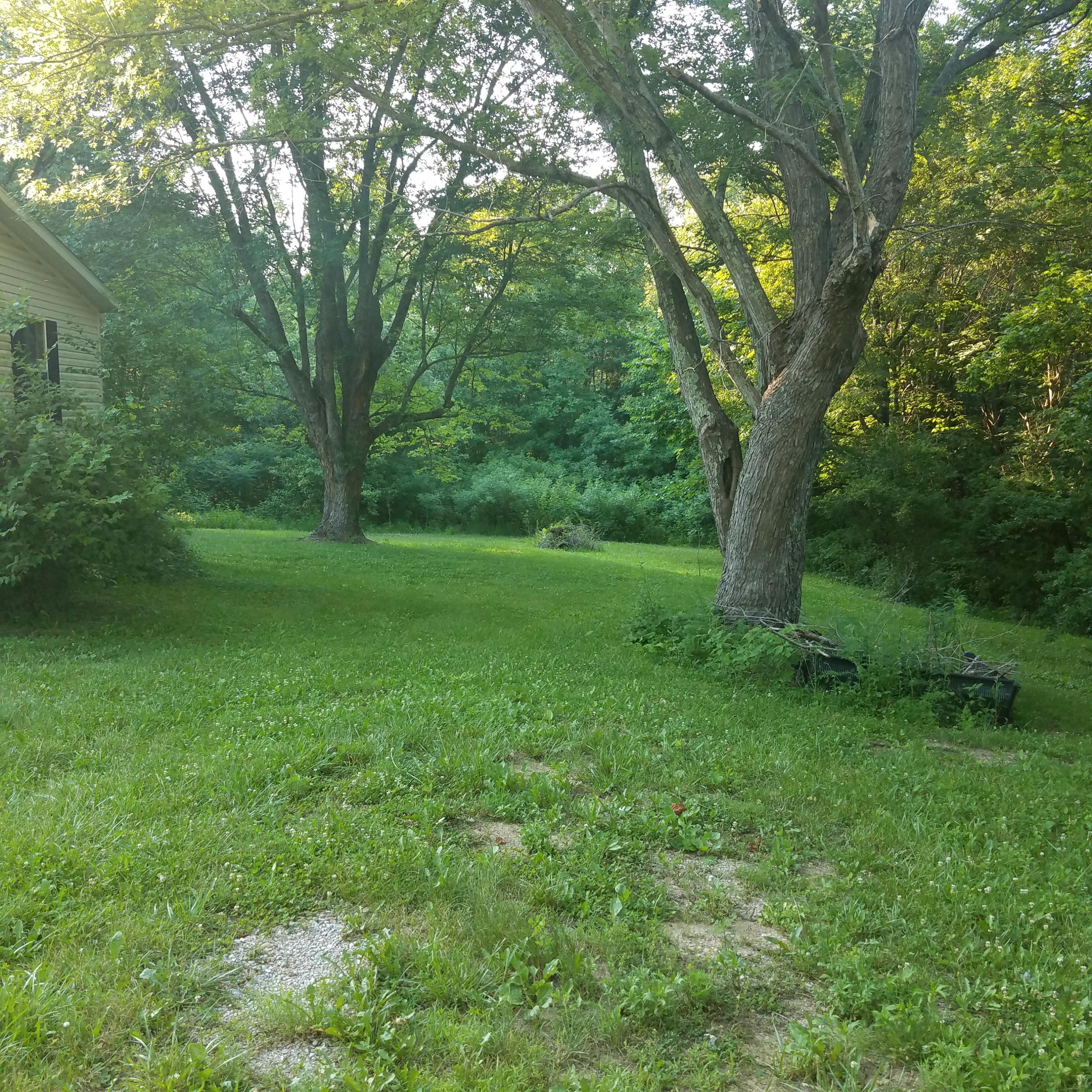 705 Parton Road Liberty, KY 42539 - Photo 25 of 36 20180618_192743