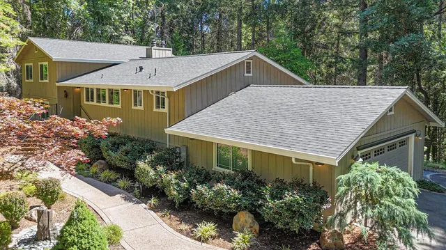 a view of a garden with plants and large trees