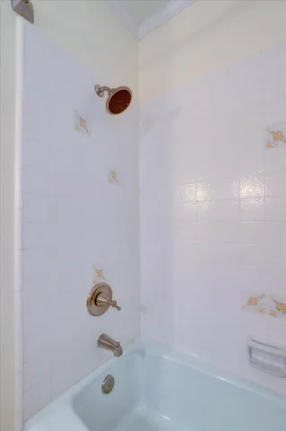 a view of a yard with plants and large trees