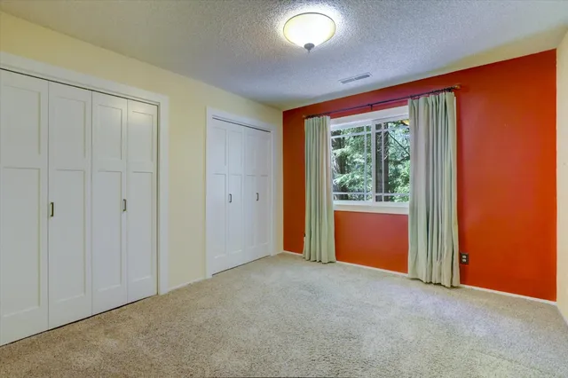 a view of a yard with large trees