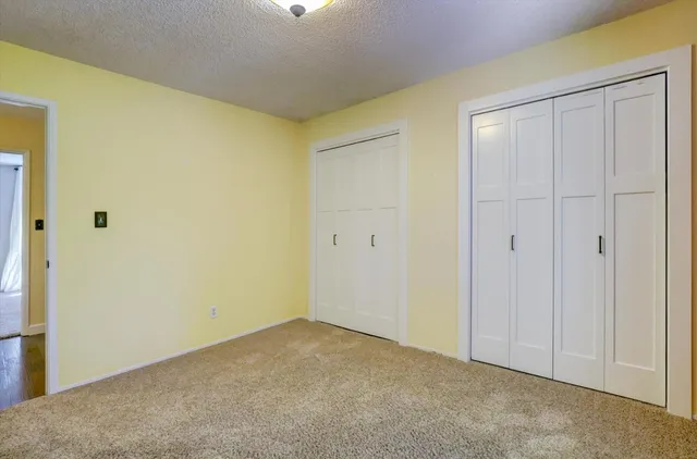 a view of a yard with plants and large trees