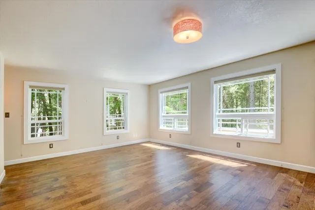 a view of a lush green forest with a street