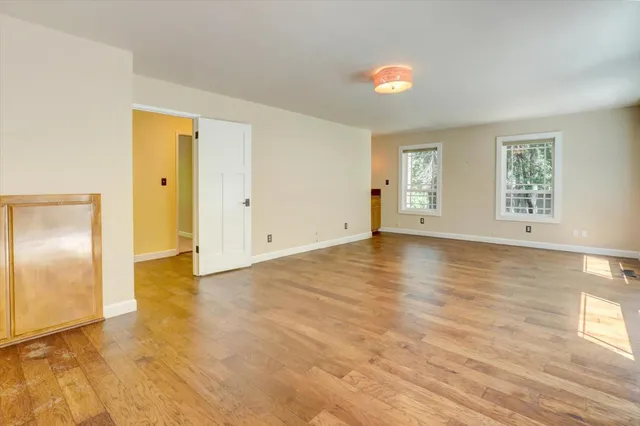 a view of a forest with plants