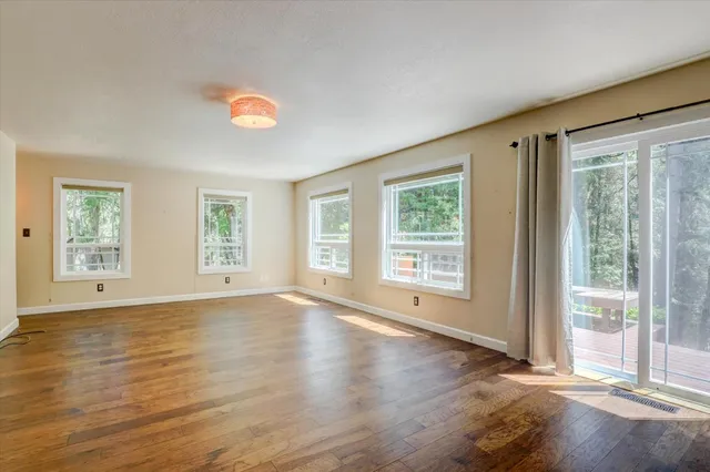 a view of a forest with trees