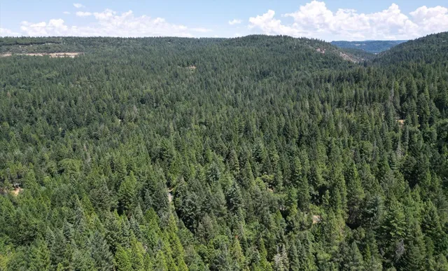 $798,000 | 11877 Incline Shaft Road, Nevada City, CA 95959