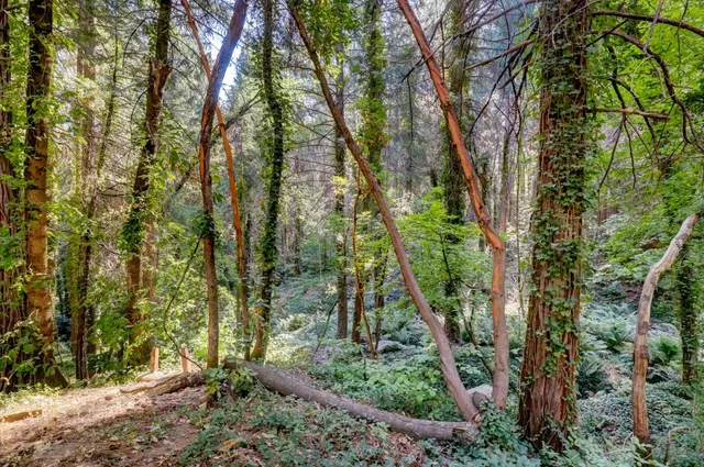 $798,000 | 11877 Incline Shaft Road, Nevada City, CA 95959