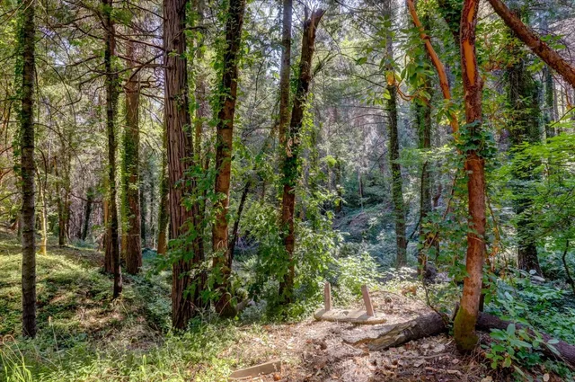 $798,000 | 11877 Incline Shaft Road, Nevada City, CA 95959