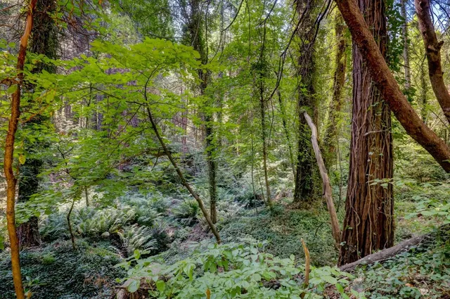 $798,000 | 11877 Incline Shaft Road, Nevada City, CA 95959