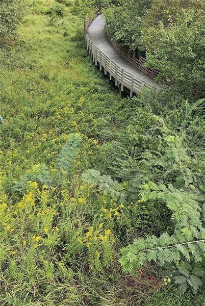 741 Gabby Point Mableton, GA 30126 - Photo 21 of 24