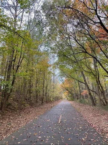 a view of backyard and trees