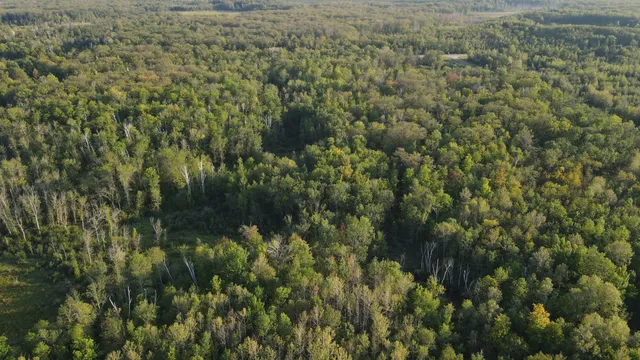 $139,900 | Tbd Kestrel Avenue, McGrath, MN 56350