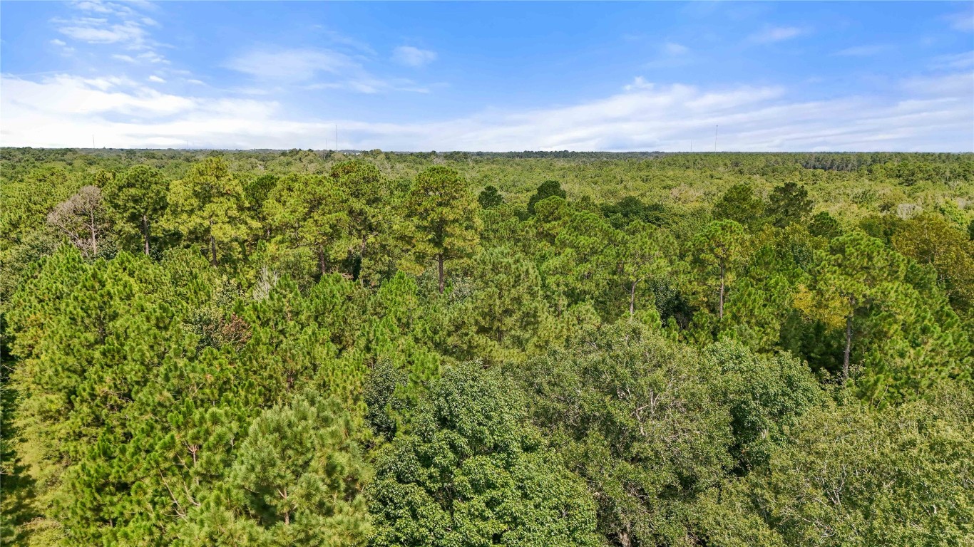 8 Old Beaumont Road Sour Lake, TX 77659 - Photo 12 of 26 a view of a field with an outdoor space