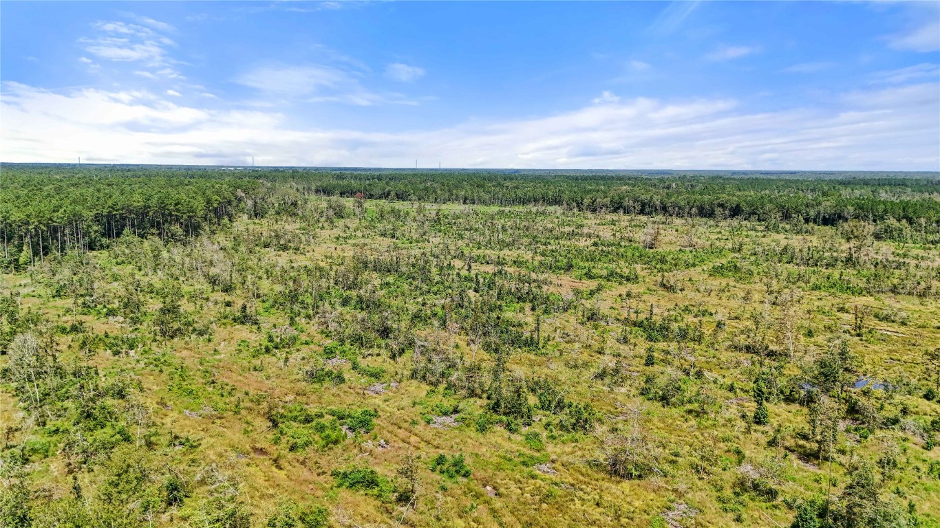 8 Old Beaumont Road Sour Lake, TX 77659 - Photo 15 of 26 a view of a green field with lots of bushes