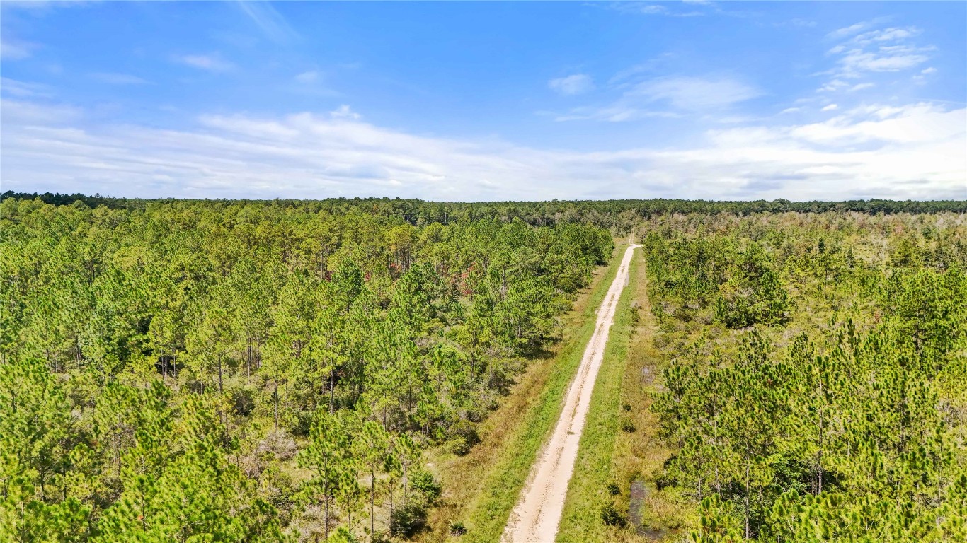 8 Old Beaumont Road Sour Lake, TX 77659 - Photo 21 of 26 a view of a lake