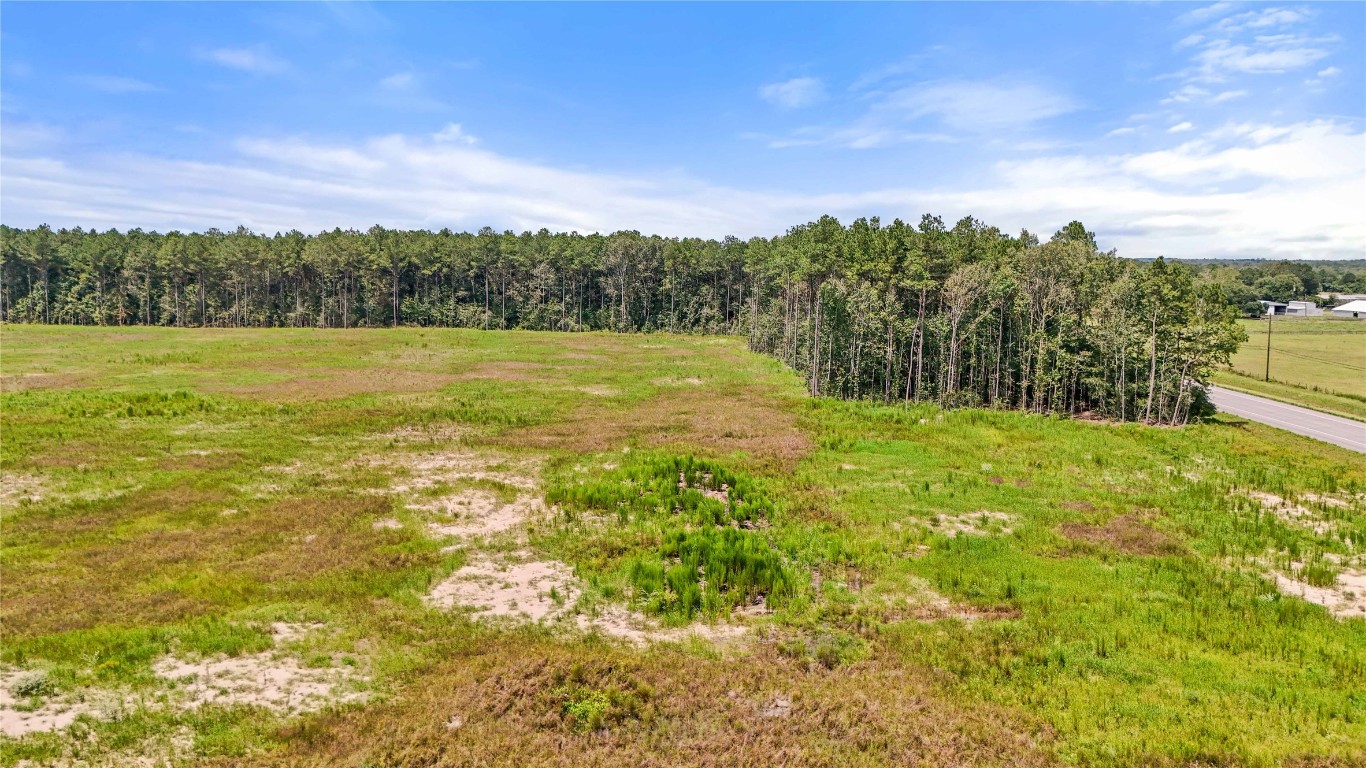 8 Old Beaumont Road Sour Lake, TX 77659 - Photo 25 of 26 a view of yard with ocean view