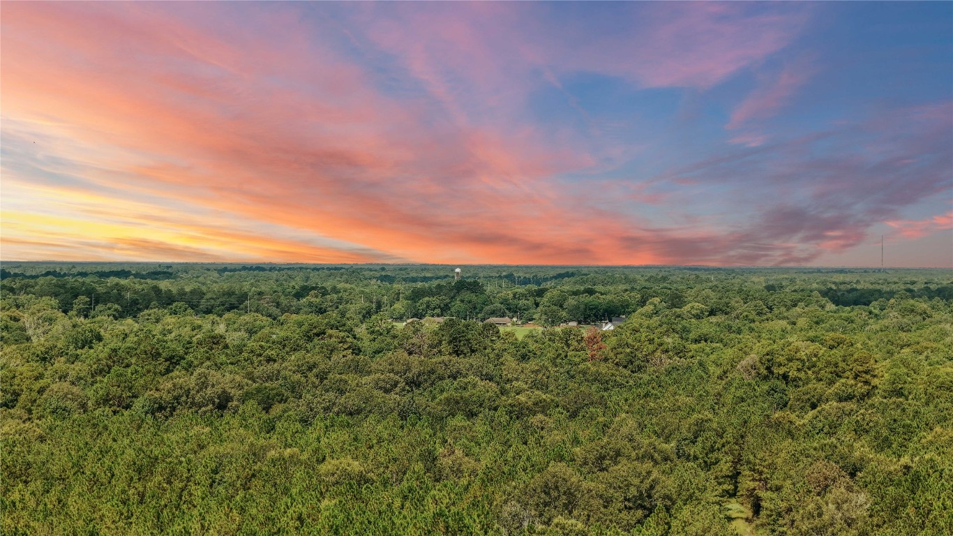 8 Old Beaumont Road Sour Lake, TX 77659 - Photo 3 of 26 a view of a green field with a tree in the background