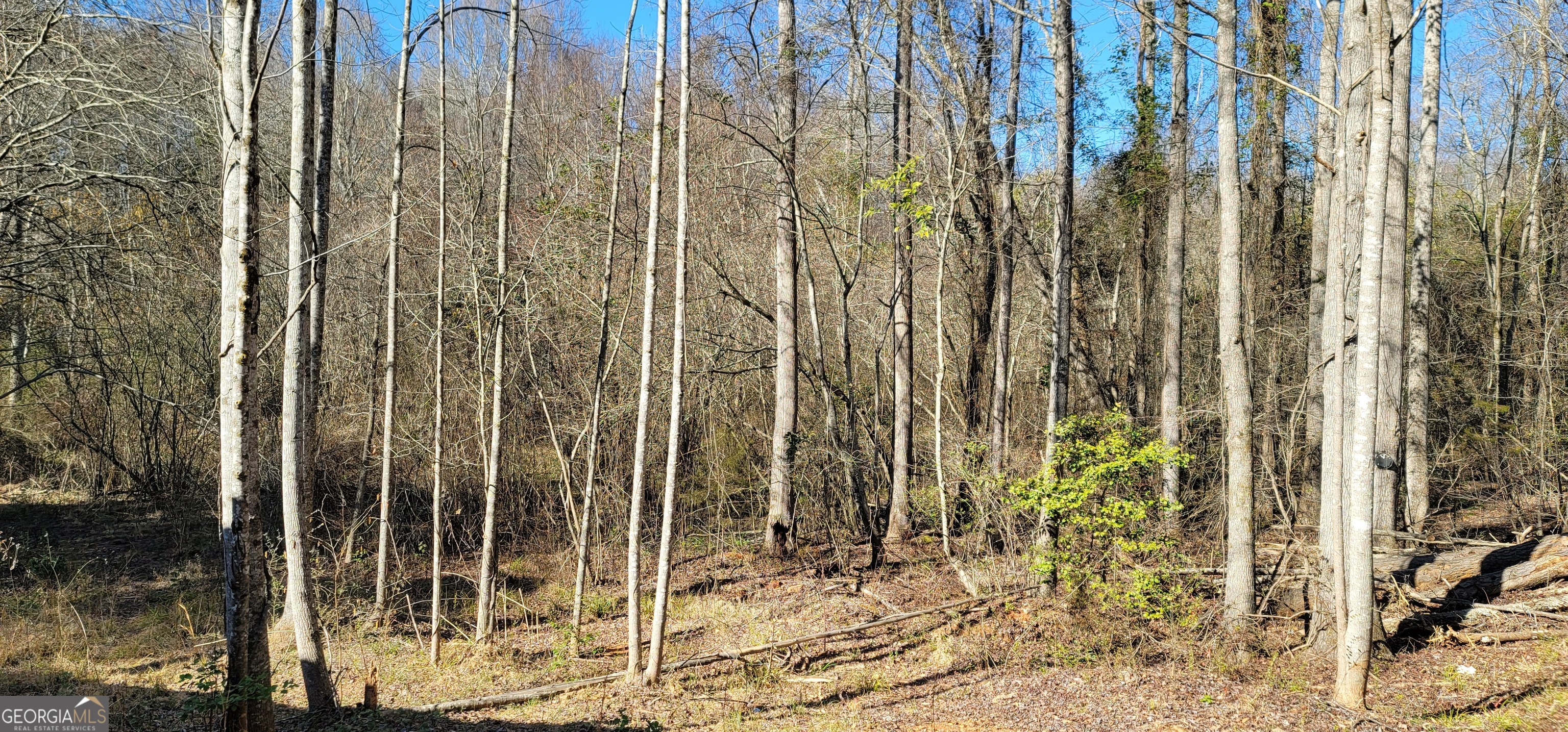 2220 O W Adams Road Dewy Rose, GA 30634 - Photo 29 of 30