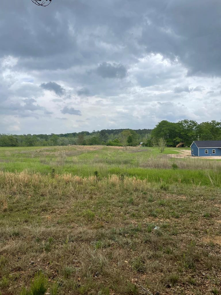 0 Doyle Road Dothan, AL 36305 - Photo 1 of 3