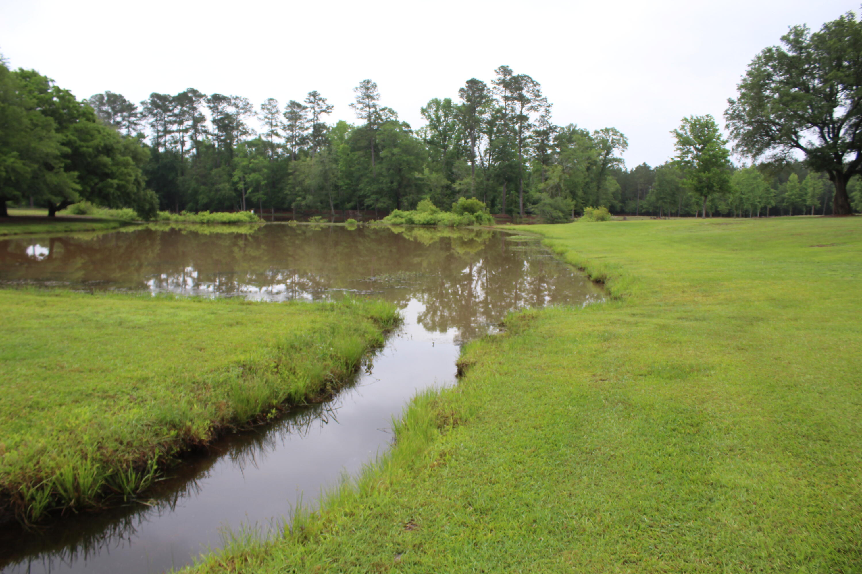 145 A Raymond Road Orangeburg, SC 29118 - Photo 51 of 52 IMG_6483