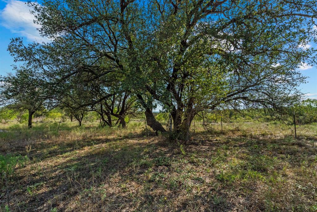 0 Proffitt Road Newcastle, TX 76372 - Photo 35 of 39 View of landscape