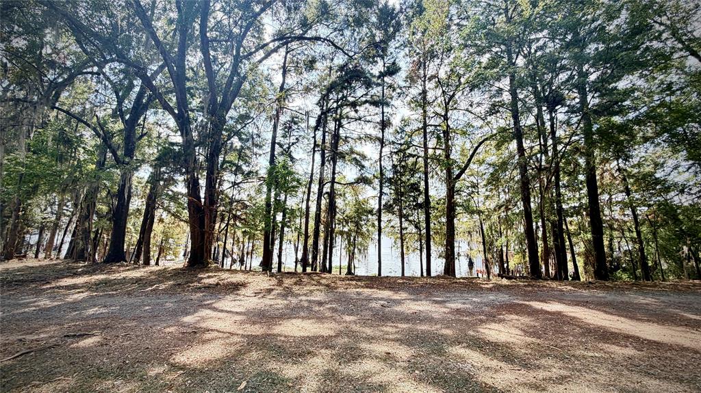 15585 Rudd Road Ida, LA 71044 - Photo 18 of 27 Wooded lot featuring mature trees and partial water frontage
