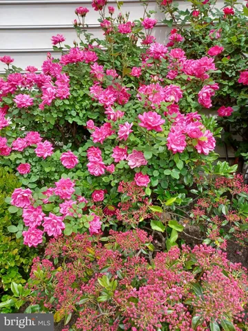 $880,000 | 12096 Maidenhair Drive, Gainesville, VA 20155