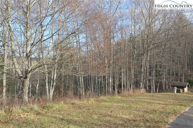 $29,900 | Lot #44 Prime Circle, Piney Creek, NC 28663