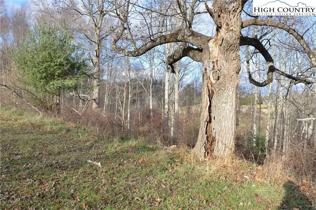 $29,900 | Lot #44 Prime Circle, Piney Creek, NC 28663