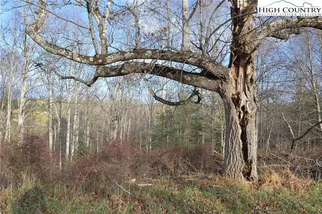 $29,900 | Lot #44 Prime Circle, Piney Creek, NC 28663