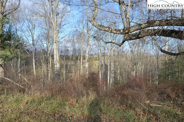 $29,900 | Lot #44 Prime Circle, Piney Creek, NC 28663