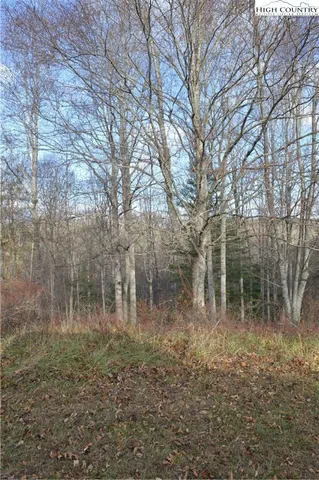 $29,900 | Lot #44 Prime Circle, Piney Creek, NC 28663