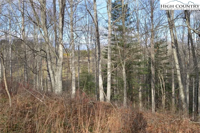 $29,900 | Lot #44 Prime Circle, Piney Creek, NC 28663