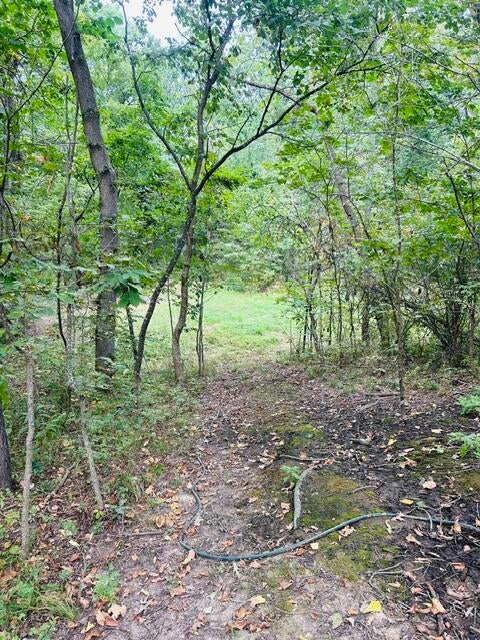 6082 O'Keefe Ridge Road Williamsburg, MO 63388 - Photo 21 of 30 Gallery Image 21