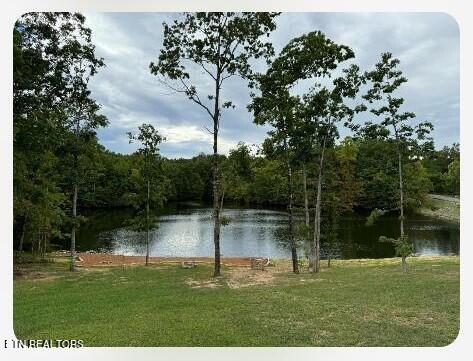 372 Laurel Loop Monterey, TN 38574 - Photo 5 of 51 04