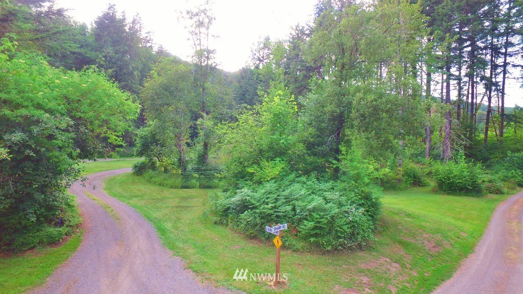 706-35 Falls Road Randle, WA 98377 - Photo 8 of 25 Gallery Image 8