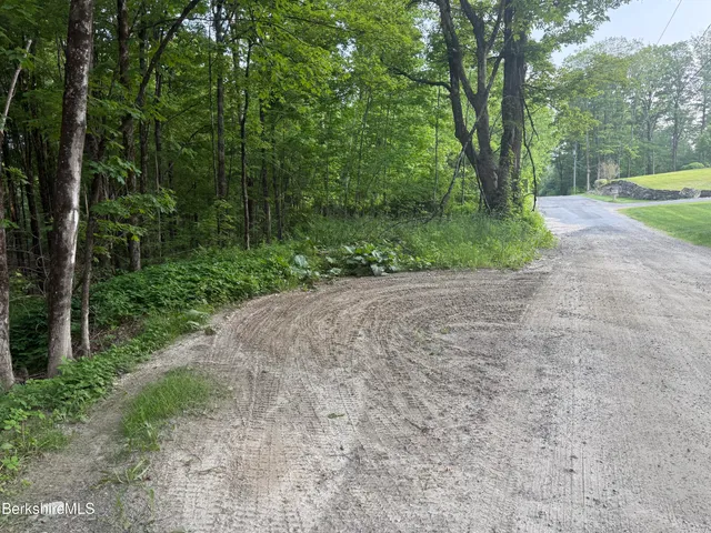 a view of a yard with plants and large trees