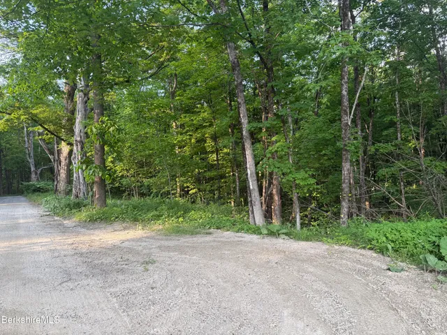 a view of a yard with plants and trees
