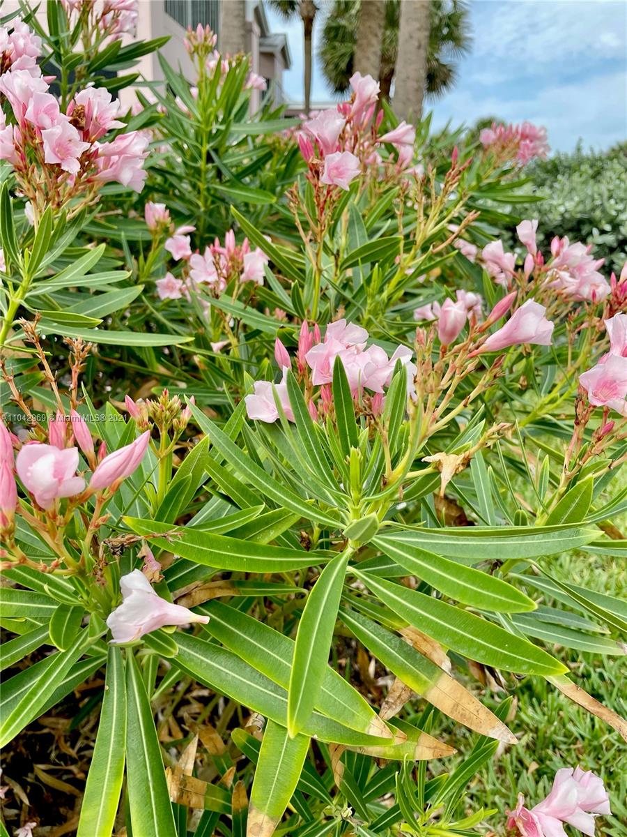 20 Northeast Plantation Road, Unit 306 Stuart, FL 34996 - Photo 17 of 20