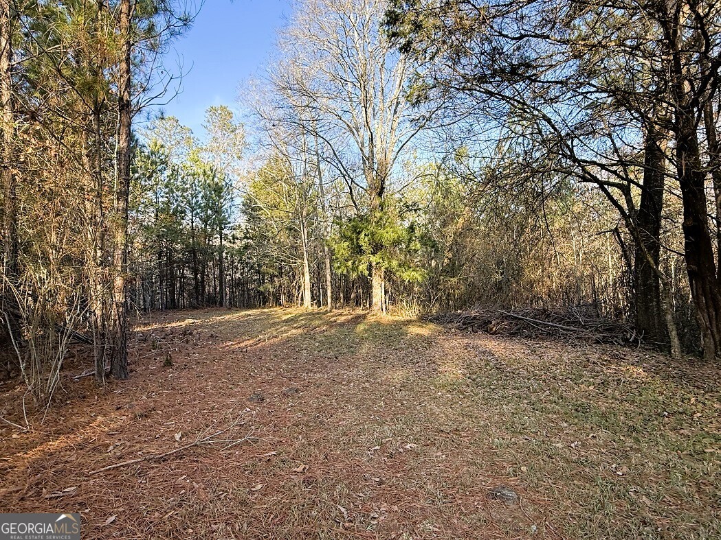 0 Stinchcomb Road Elberton, GA 30635 - Photo 7 of 16