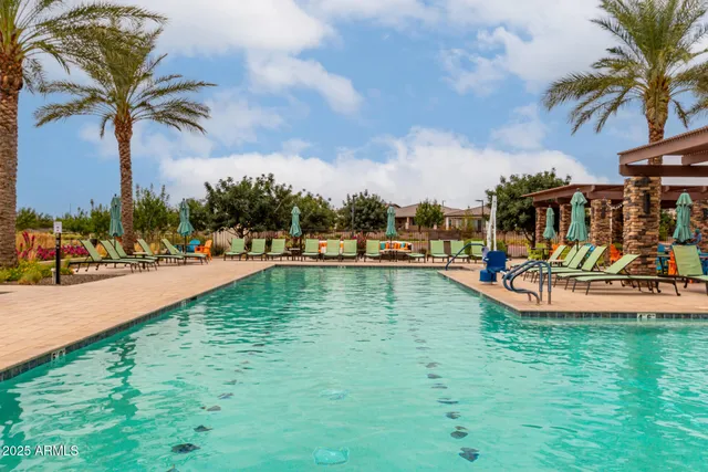 a view of a swimming pool with a lawn chairs under palm trees